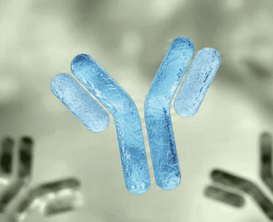 SPECIALIZED MODALITIES