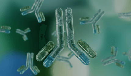 ADCs (Antibody Drug Conjugates) 