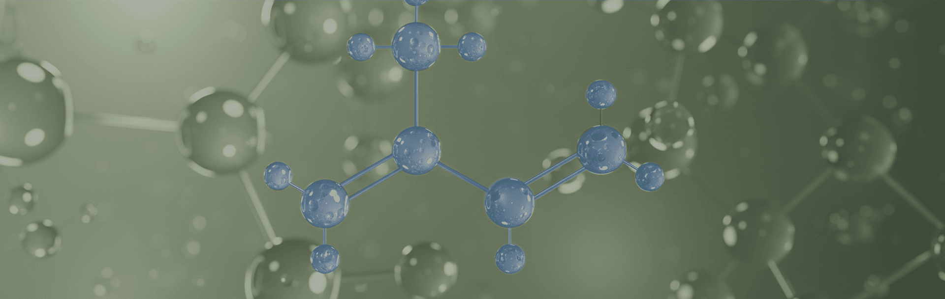 BUILDING BLOCKS & INTERMEDIATES