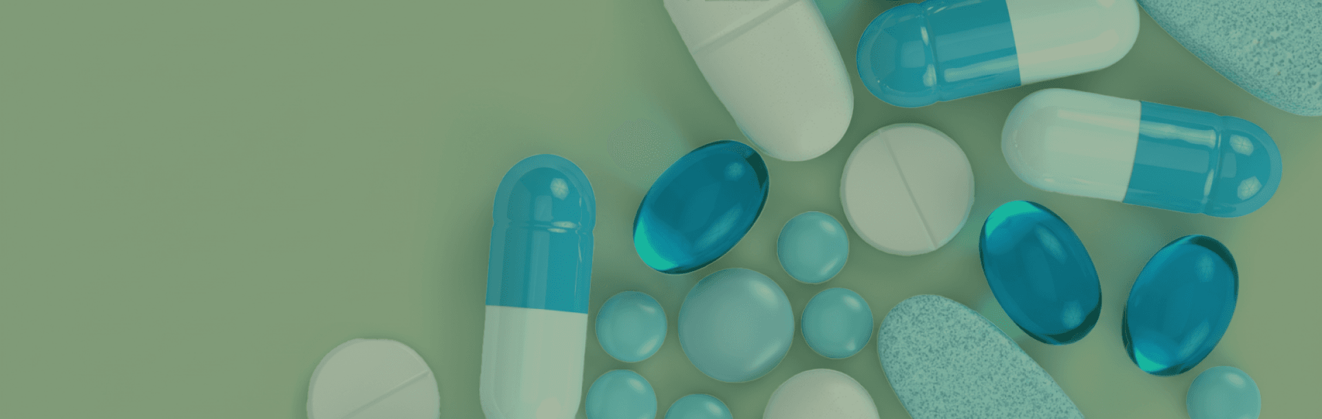 FORMULATION DEVELOPMENT SERVICE