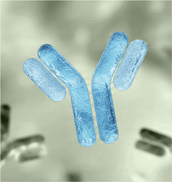 SPECIALIZED MODALITIES