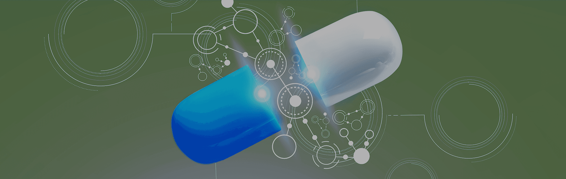 PRE-FORMULATION DEVELOPMENT SERVICES