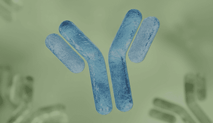 SPECIALIZED MODALITIES 