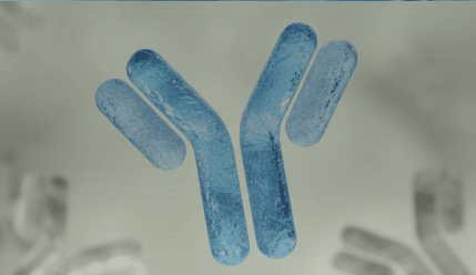 SPECIALIZED MODALITIES 