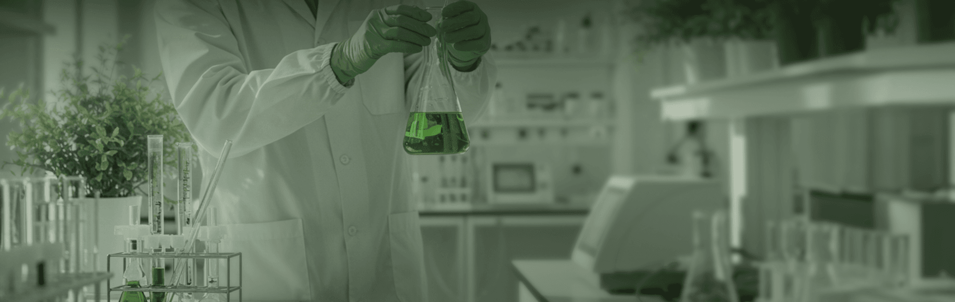 INNOVATING FOR A SUSTAINABLE FUTURE