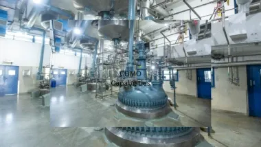 Comprehensive CDMO Capabilities