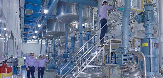 From Molecule to Market