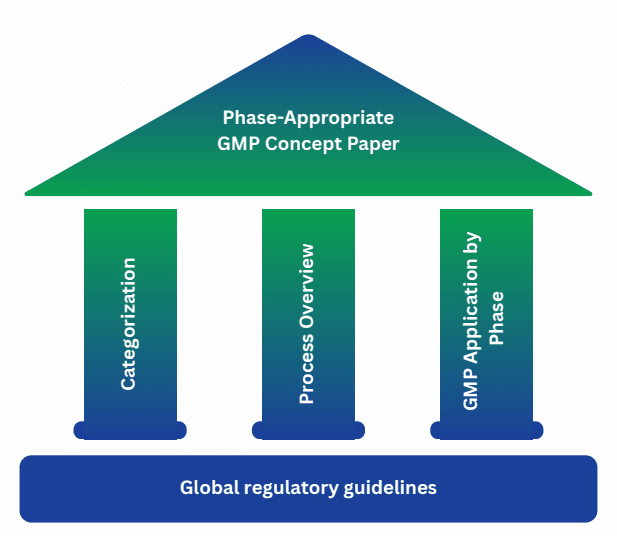 Global regulatory guidelines
